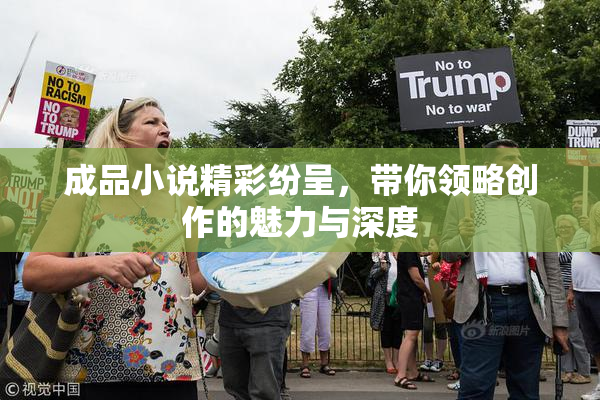 成品小说精彩纷呈，带你领略创作的魅力与深度