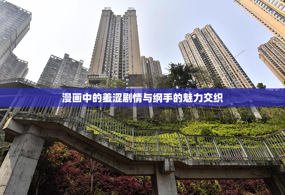 漫画中的羞涩剧情与纲手的魅力交织