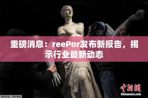 重磅消息：reePor发布新报告，揭示行业最新动态