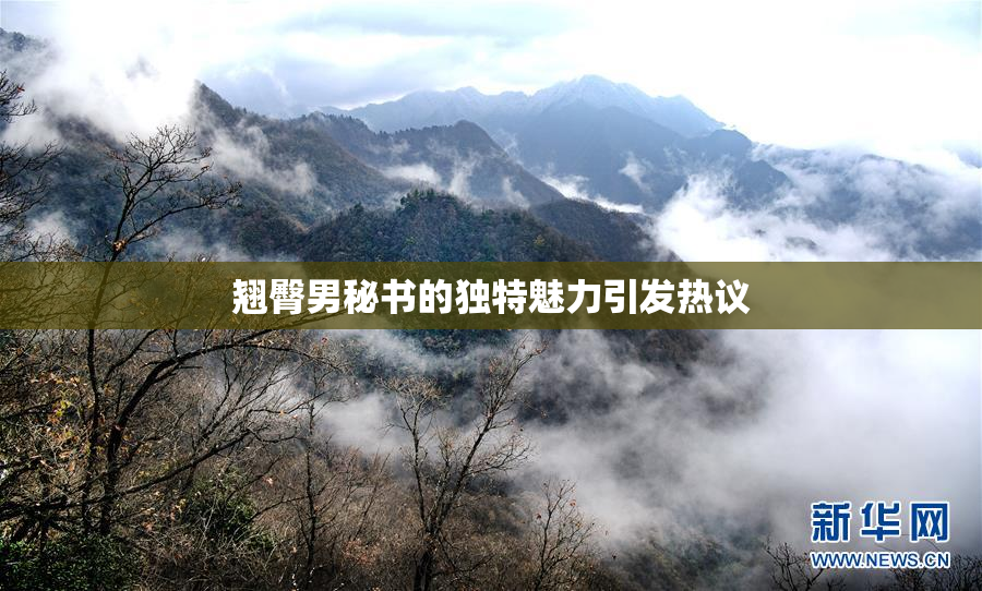 翘臀男秘书的独特魅力引发热议