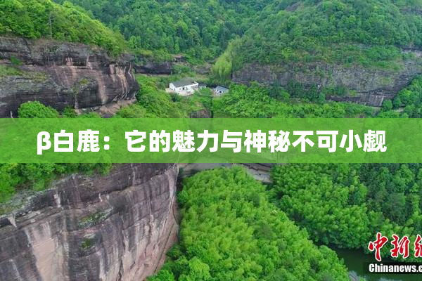 β白鹿：它的魅力与神秘不可小觑