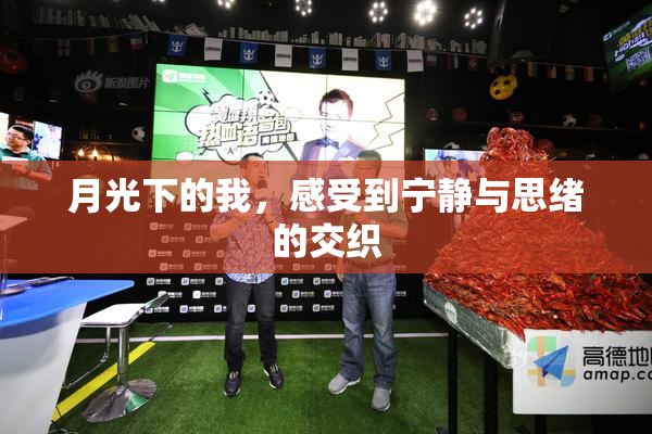 月光下的我，感受到宁静与思绪的交织