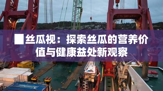 ▉丝瓜视：探索丝瓜的营养价值与健康益处新观察