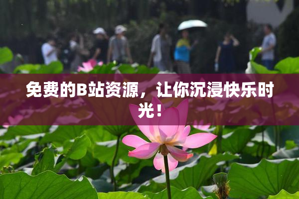 免费的B站资源，让你沉浸快乐时光！