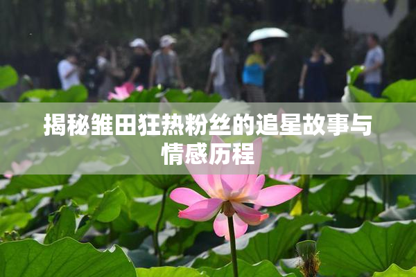 揭秘雏田狂热粉丝的追星故事与情感历程