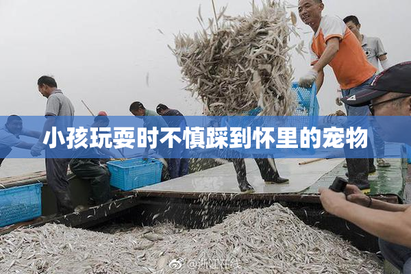 小孩玩耍时不慎踩到怀里的宠物