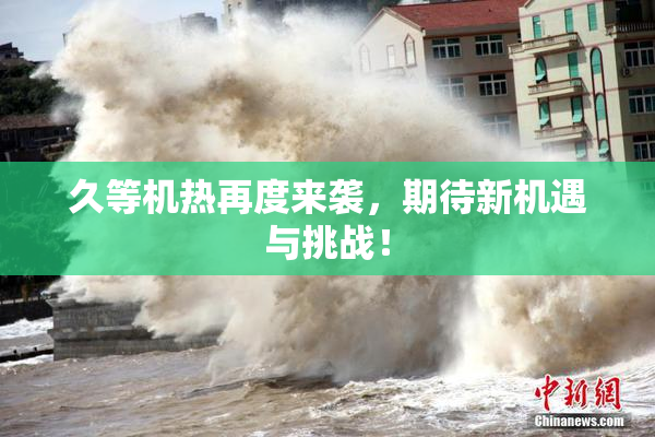 久等机热再度来袭，期待新机遇与挑战！