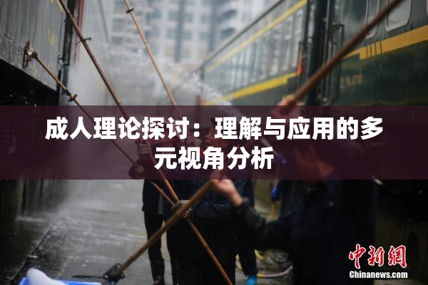 成人理论探讨：理解与应用的多元视角分析