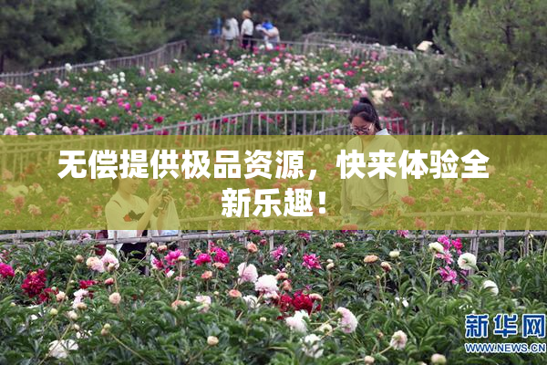 无偿提供极品资源，快来体验全新乐趣！