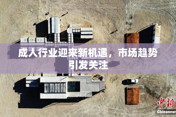 成人行业迎来新机遇，市场趋势引发关注