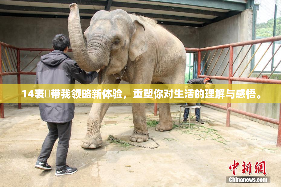 14表妺带我领略新体验，重塑你对生活的理解与感悟。
