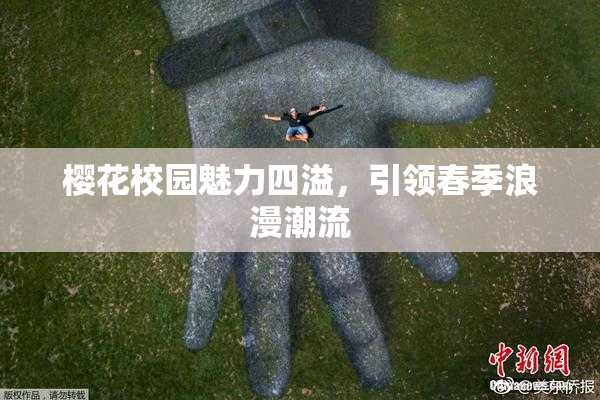 樱花校园魅力四溢，引领春季浪漫潮流