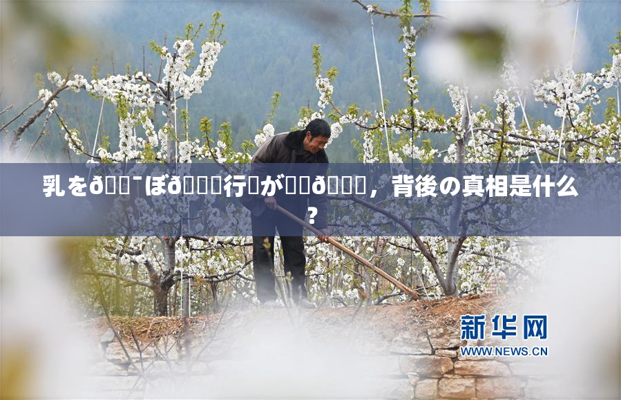 乳を🔯ぼ🌃行為が話題🎆，背後の真相是什么？