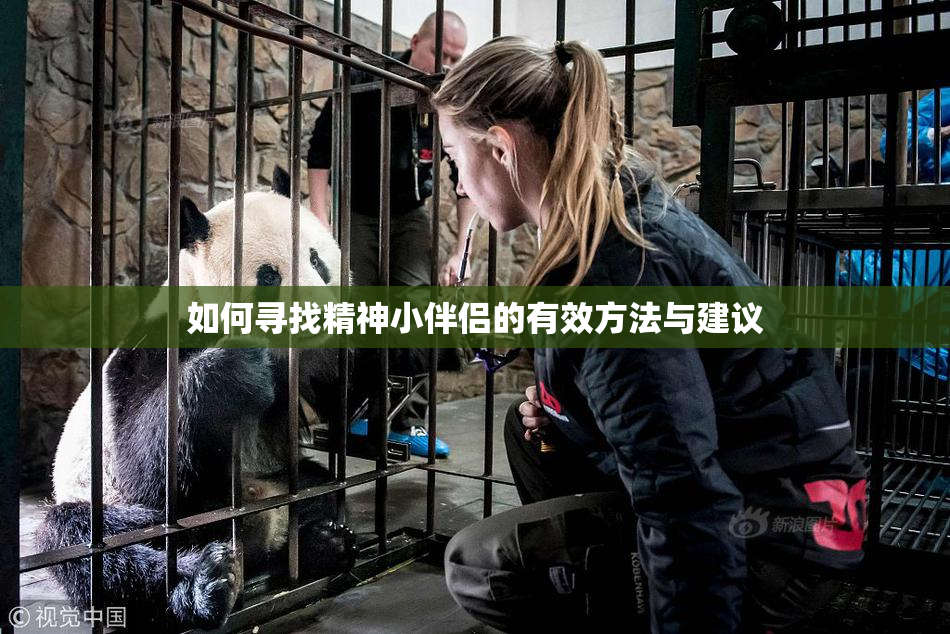 如何寻找精神小伴侣的有效方法与建议
