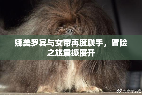 娜美罗宾与女帝再度联手，冒险之旅震撼展开