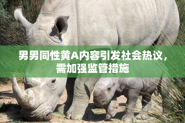 男男同性黄A内容引发社会热议，需加强监管措施