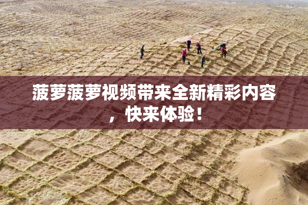 菠萝菠萝视频带来全新精彩内容，快来体验！