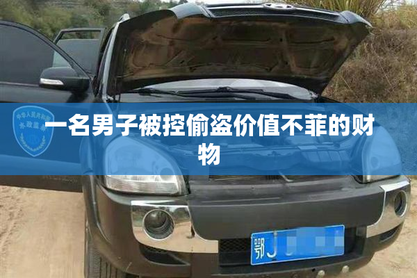 一名男子被控偷盗价值不菲的财物