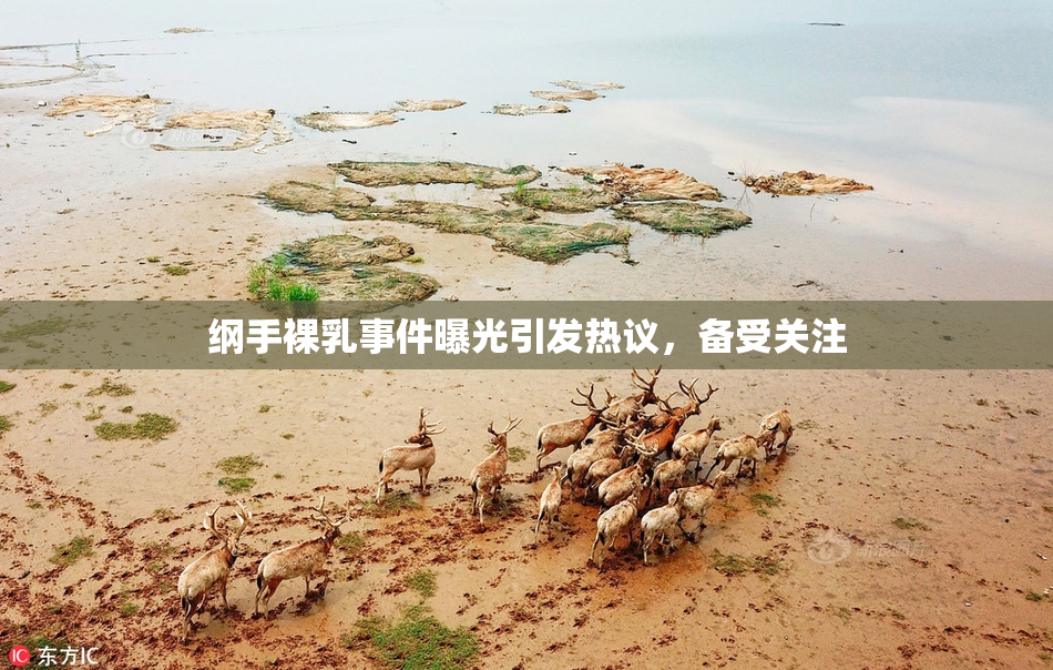 纲手裸乳事件曝光引发热议，备受关注