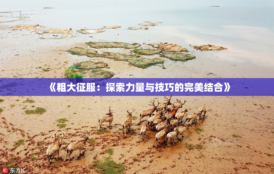《粗大征服：探索力量与技巧的完美结合》