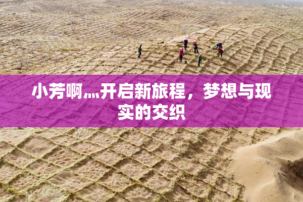 小芳啊灬开启新旅程，梦想与现实的交织
