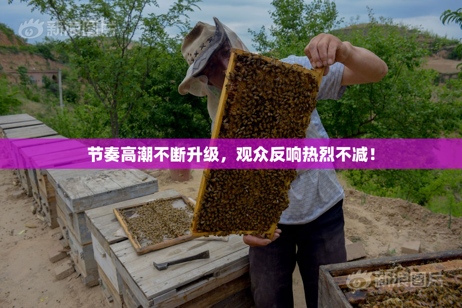 节奏高潮不断升级，观众反响热烈不减！