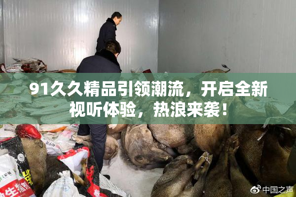 91久久精品引领潮流，开启全新视听体验，热浪来袭！