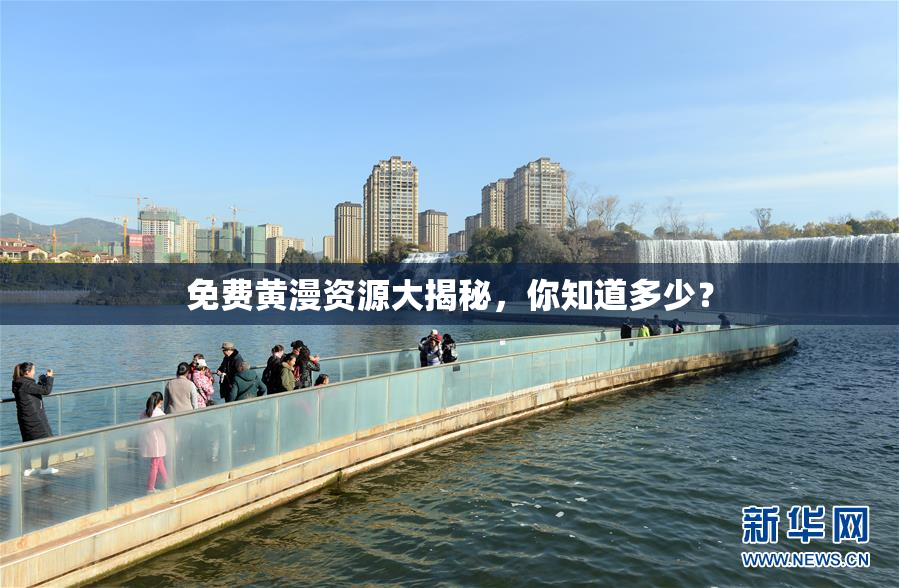 免费黄漫资源大揭秘，你知道多少？