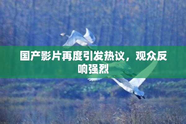 国产影片再度引发热议，观众反响强烈