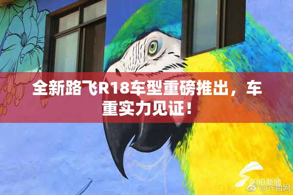 全新路飞R18车型重磅推出，车重实力见证！