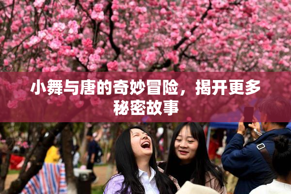 小舞与唐的奇妙冒险，揭开更多秘密故事