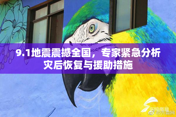 9.1地震震撼全国，专家紧急分析灾后恢复与援助措施