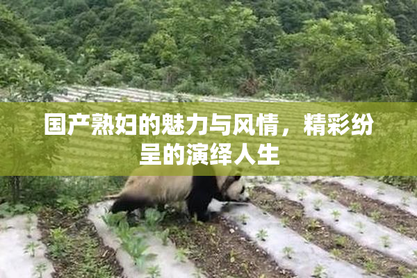 国产熟妇的魅力与风情，精彩纷呈的演绎人生