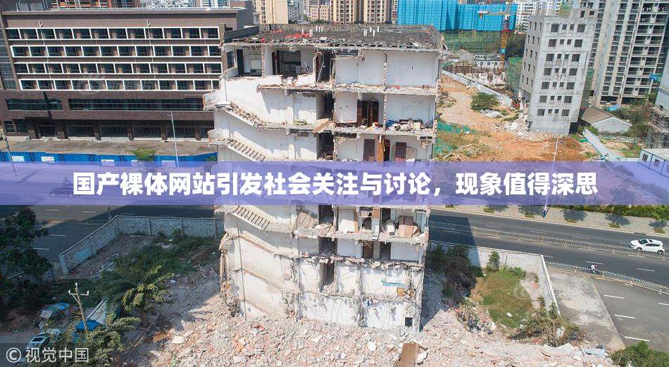国产裸体网站引发社会关注与讨论，现象值得深思