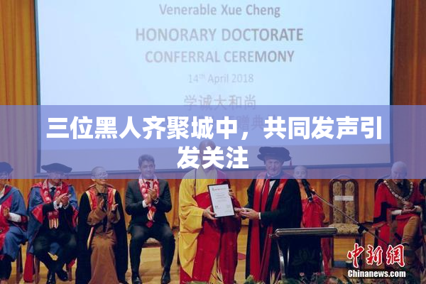 三位黑人齐聚城中，共同发声引发关注