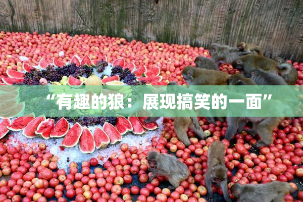 “有趣的狼：展现搞笑的一面”