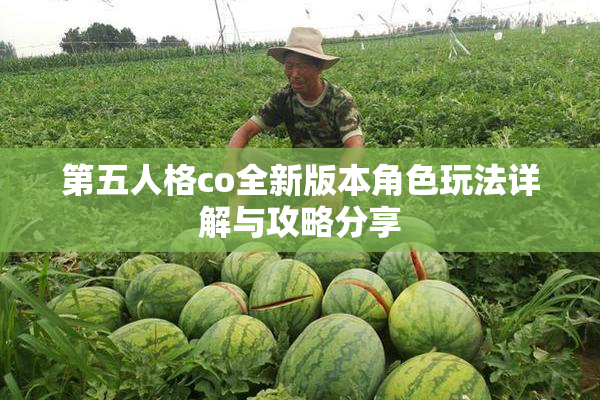 第五人格co全新版本角色玩法详解与攻略分享