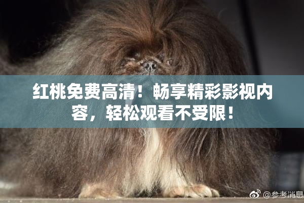 红桃免费高清！畅享精彩影视内容，轻松观看不受限！