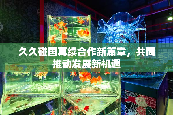 久久碰国再续合作新篇章，共同推动发展新机遇