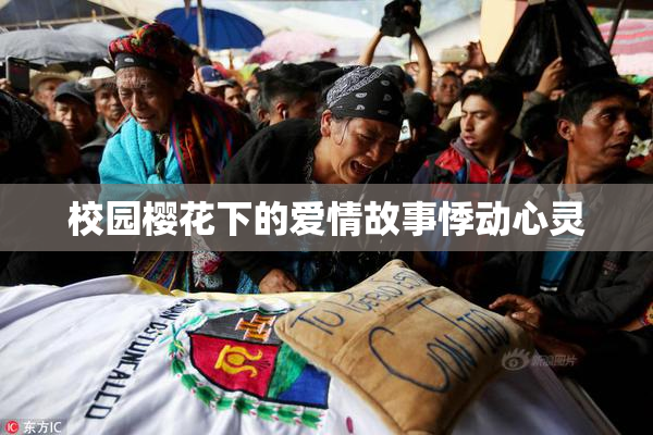 校园樱花下的爱情故事悸动心灵