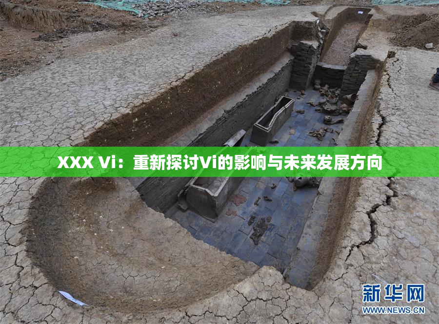 XXX Vi：重新探讨Vi的影响与未来发展方向