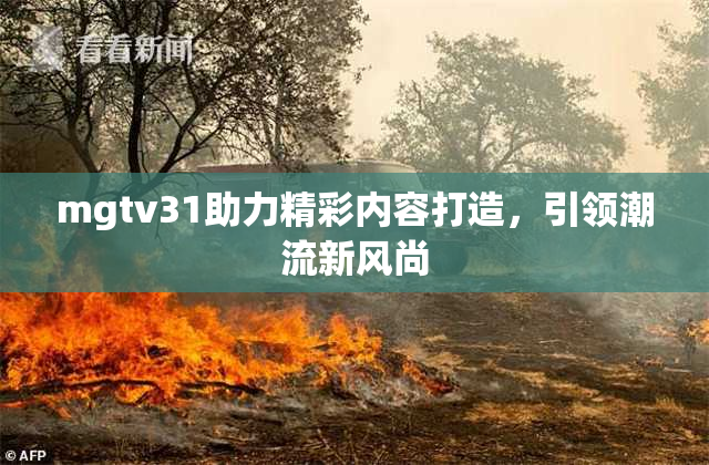 mgtv31助力精彩内容打造，引领潮流新风尚