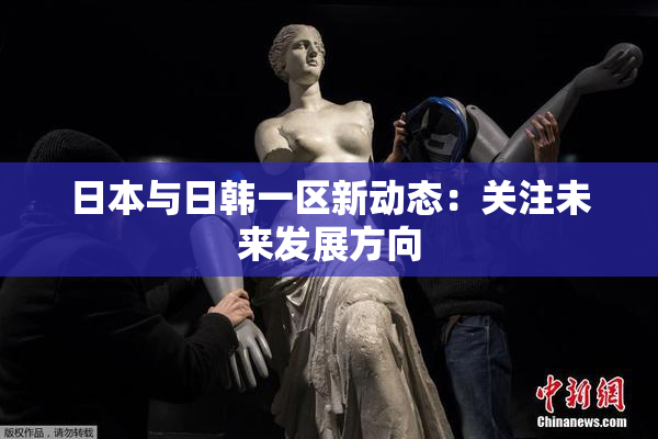 日本与日韩一区新动态：关注未来发展方向