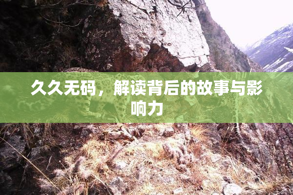 久久无码，解读背后的故事与影响力