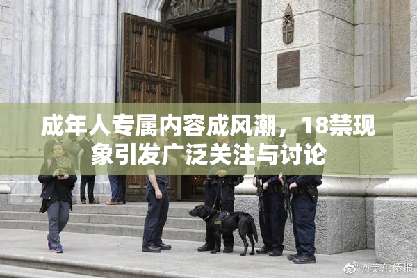 成年人专属内容成风潮，18禁现象引发广泛关注与讨论