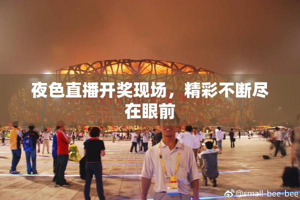 夜色直播开奖现场，精彩不断尽在眼前