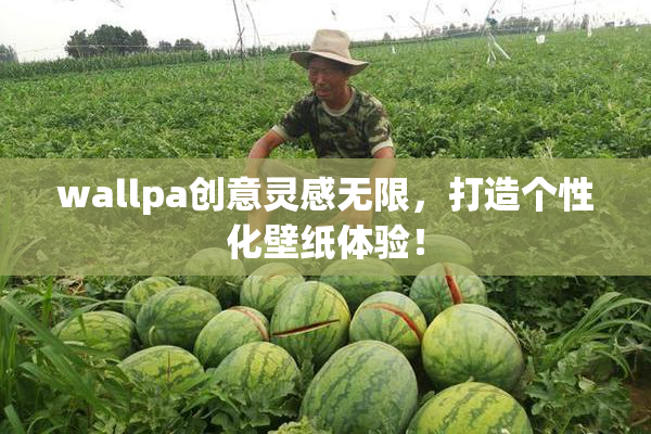 wallpa创意灵感无限，打造个性化壁纸体验！