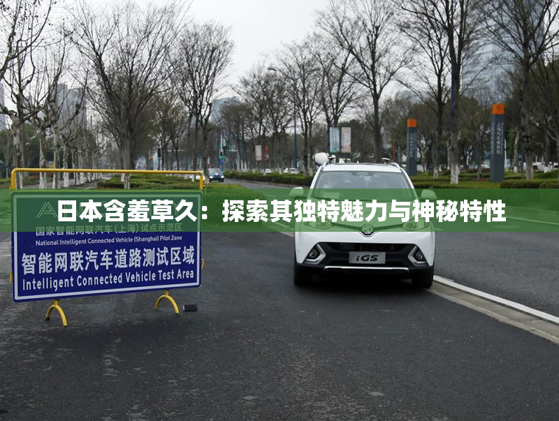 日本含羞草久：探索其独特魅力与神秘特性