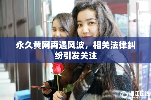 永久黄网再遇风波，相关法律纠纷引发关注