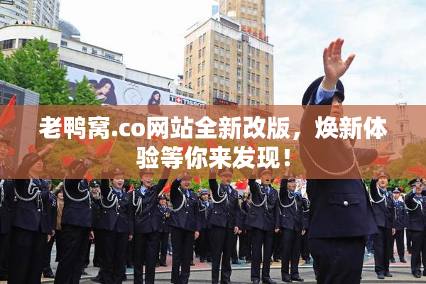 老鸭窝.co网站全新改版，焕新体验等你来发现！